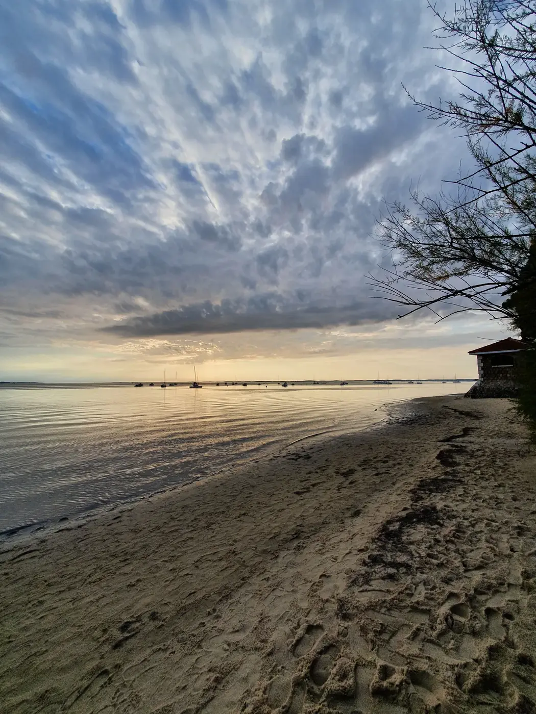 Mariage — Villa Maria, Villa Maria, Arcachon — photo 1